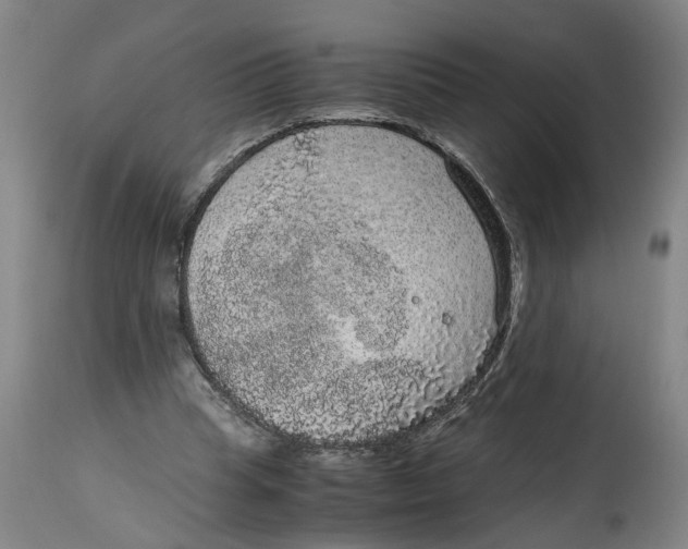 X0000114660345200911101348