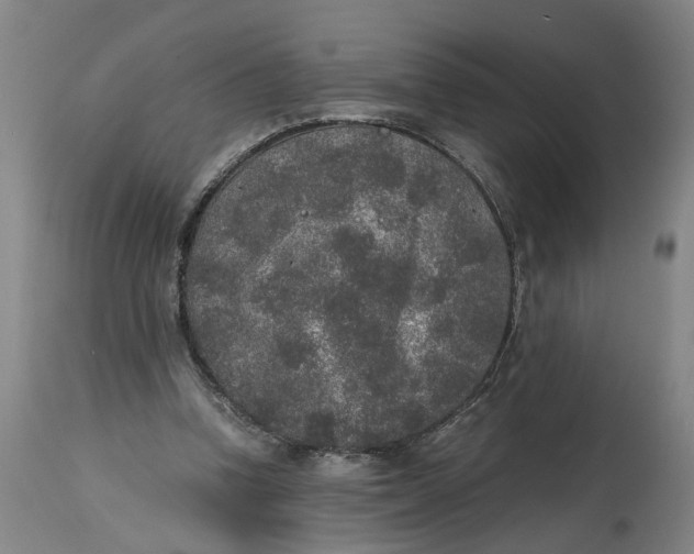 X0000114660346200911101348