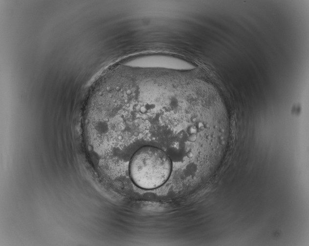 X0000114660347200911101348