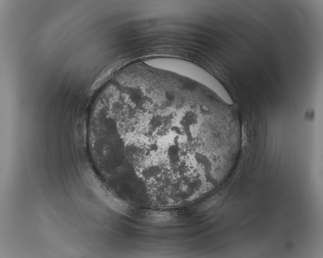 X0000114660349200911101348