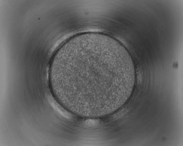 X0000114660350200911101348