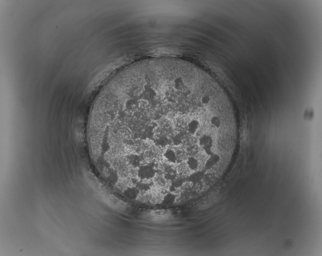 X0000114660353200911101348