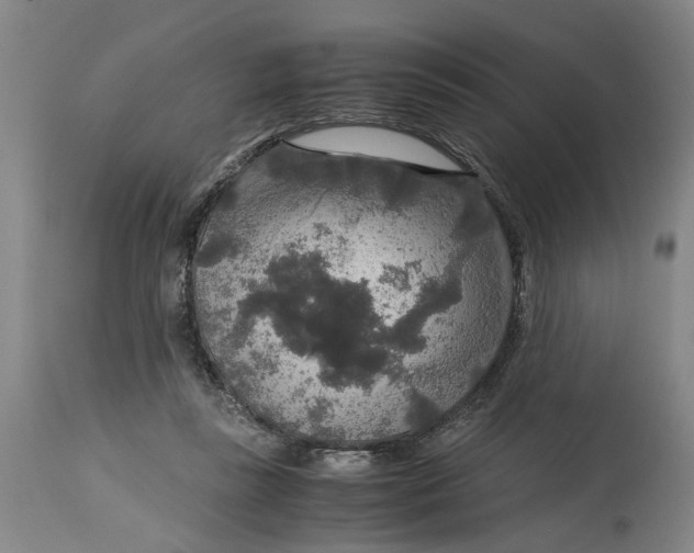 X0000114660355200911101348