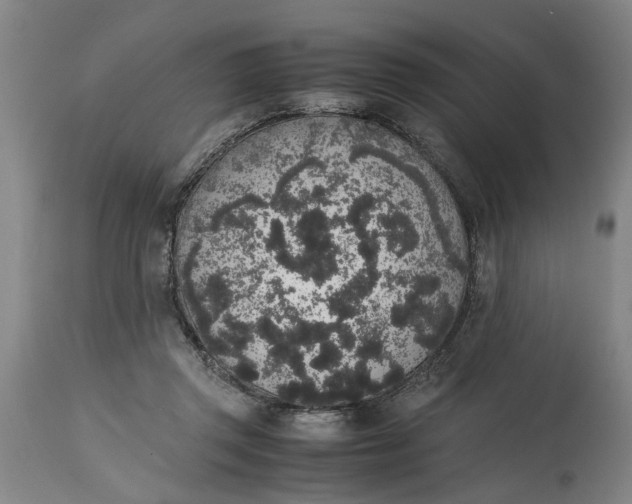 X0000114660357200911101348