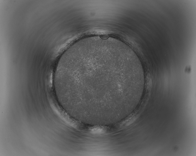 X0000114660358200911101348