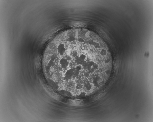 X0000114660359200911101348