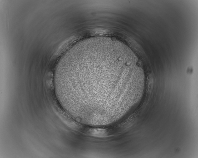 X0000114660361200911101348