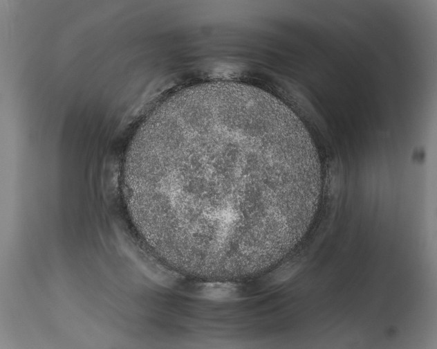 X0000114660363200911101348