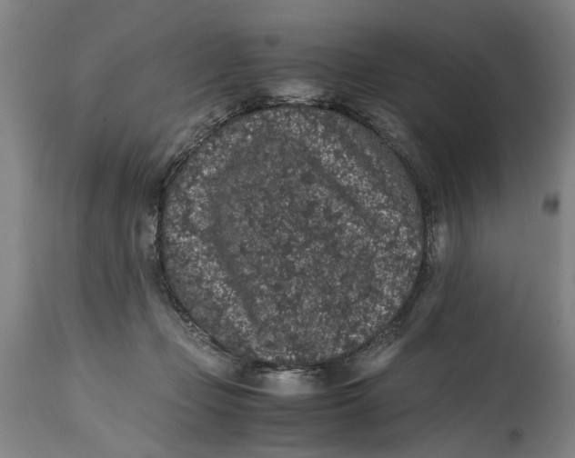 X0000114660365200911101348