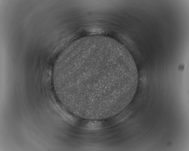 X0000114660369200911101348