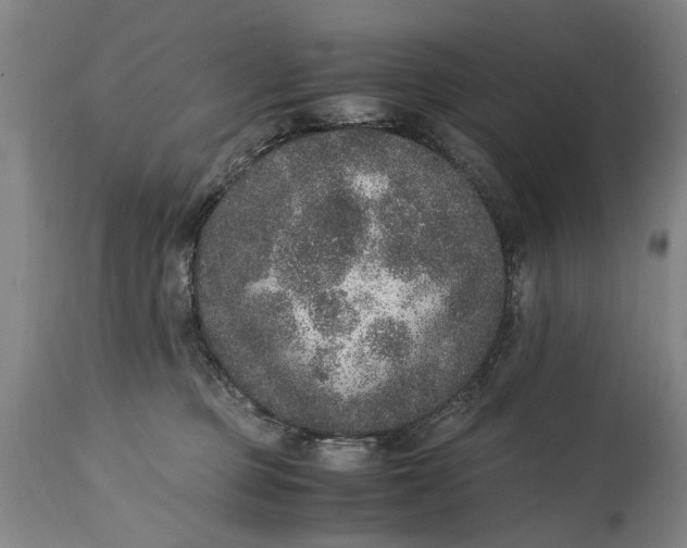 X0000114660373200911101348