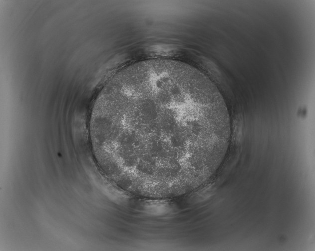 X0000114660377200911101349