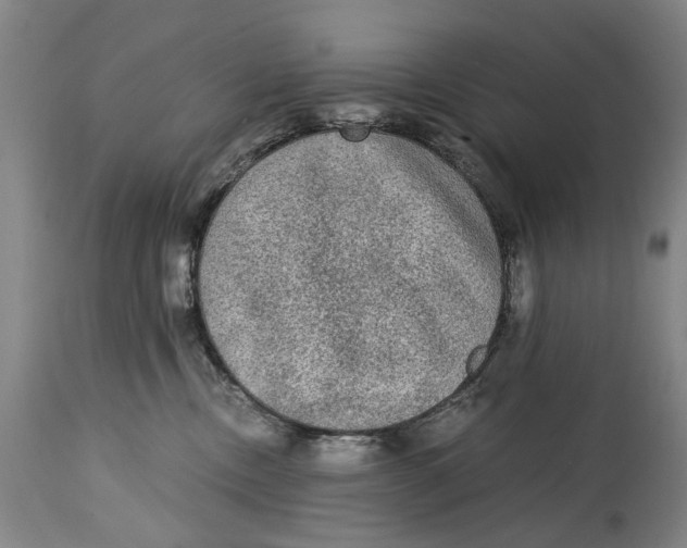 X0000114660378200911101349