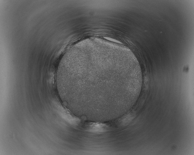 X0000114660379200911101349