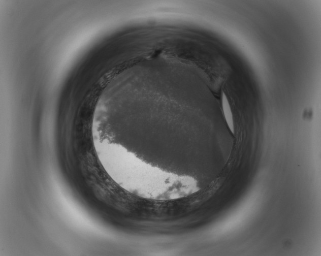 X0000114660383200911101349