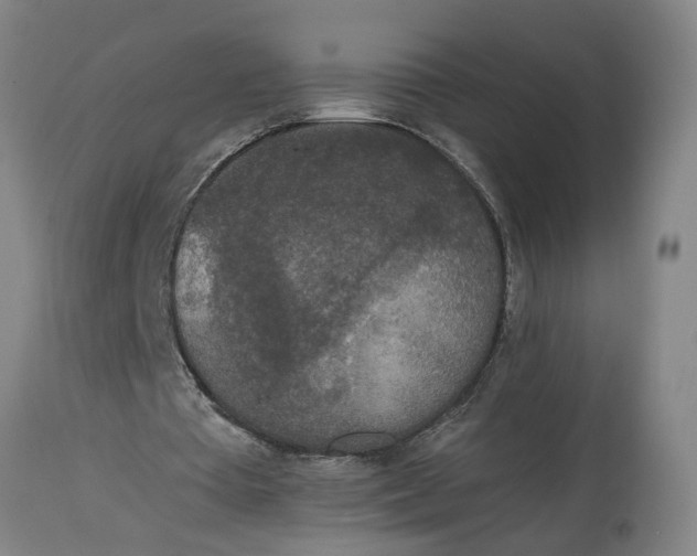 X0000114660385200911101348