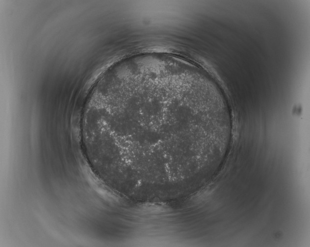 X0000114660386200911101348