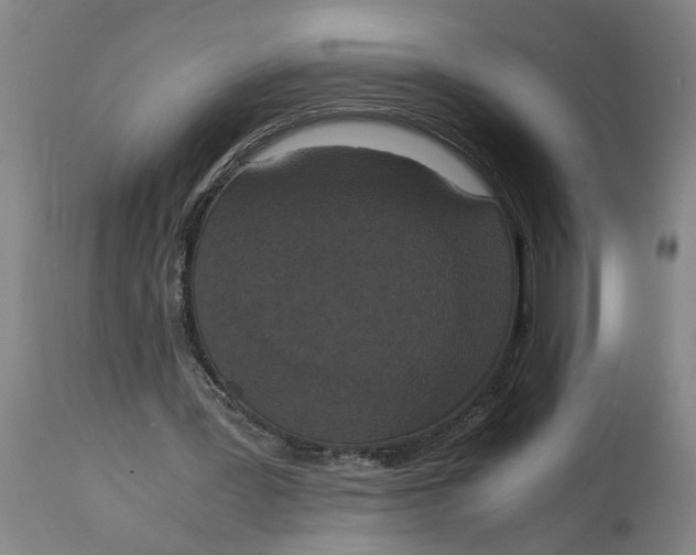 X0000114660387200911101348