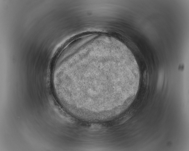 X0000114660388200911101348