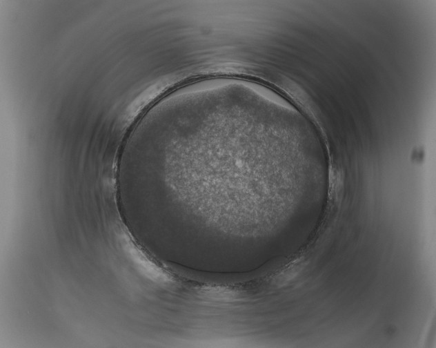 X0000114660389200911101348