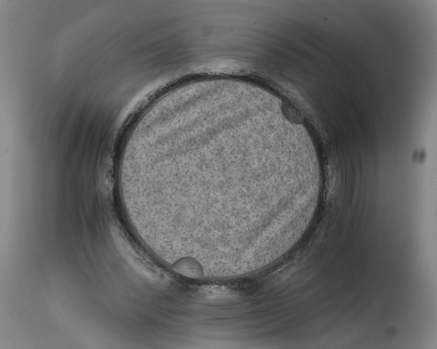 X0000114660392200911101348