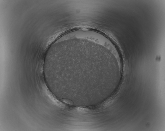 X0000114660393200911101348