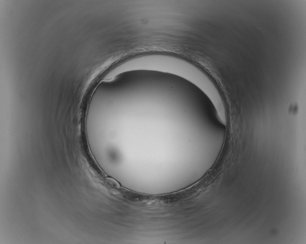 X0000114660395200911101348