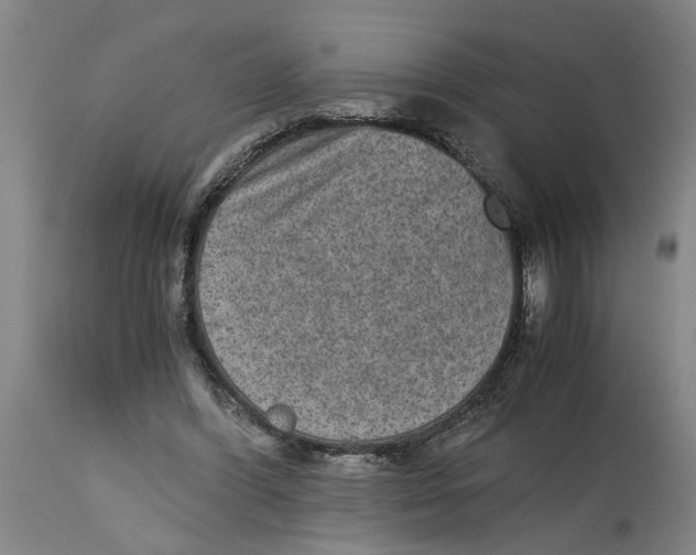 X0000114660396200911101348