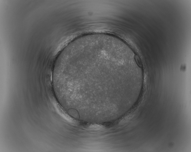 X0000114660397200911101348