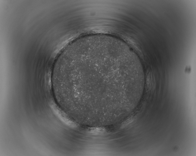 X0000114660398200911101348