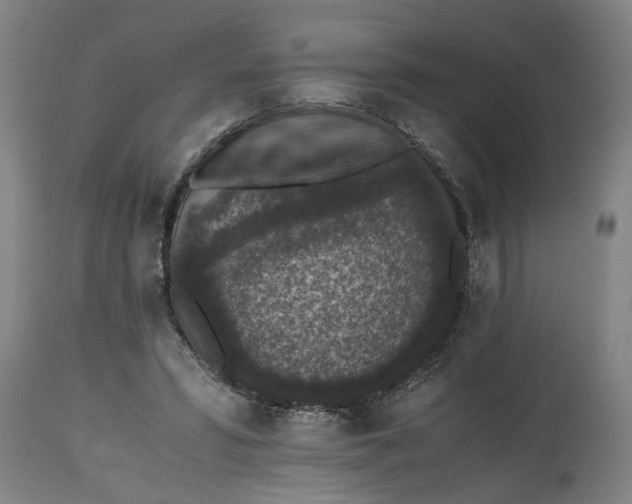 X0000114660399200911101348