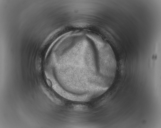 X0000114660400200911101348