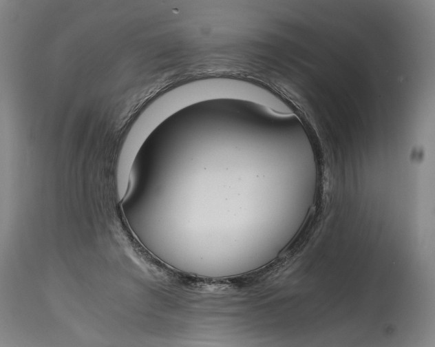 X0000114660401200911101348