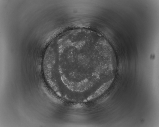 X0000114660402200911101348