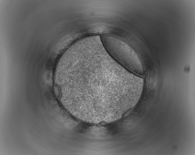 X0000114660403200911101348