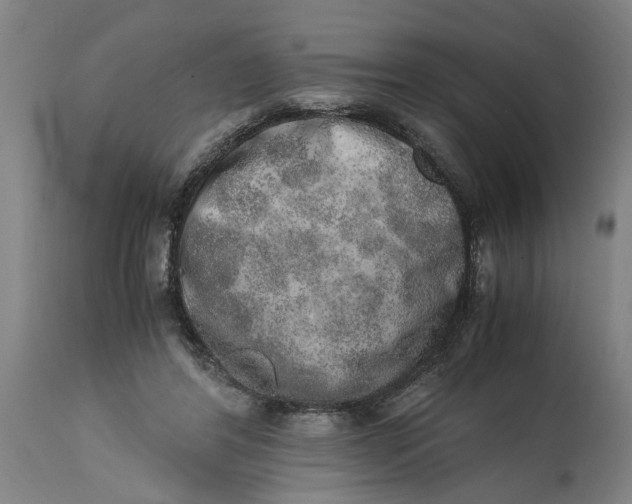 X0000114660404200911101348