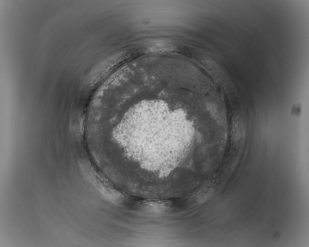 X0000114660405200911101348