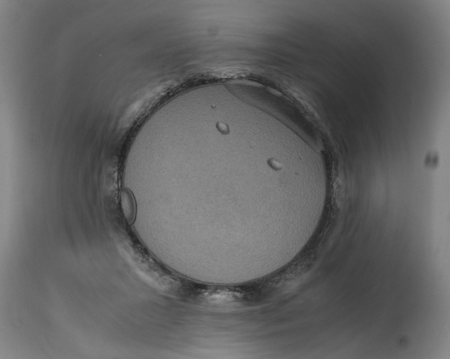 X0000114660407200911101348