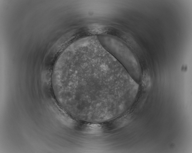 X0000114660409200911101348