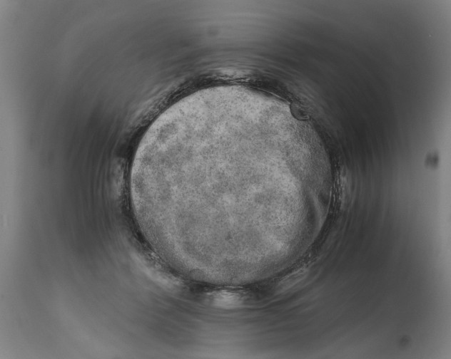 X0000114660412200911101348