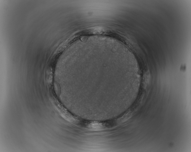 X0000114660413200911101348