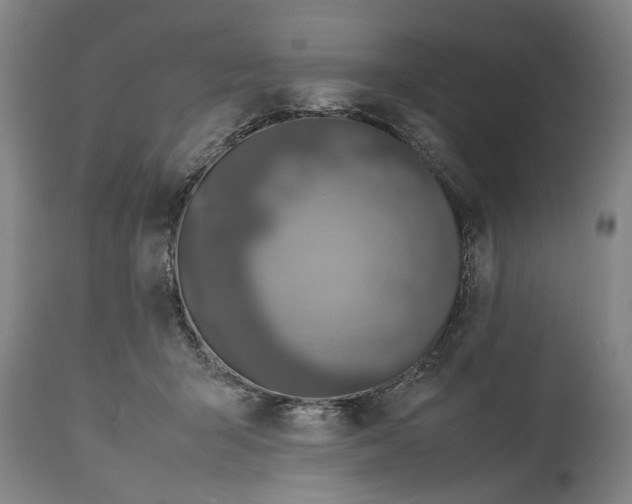 X0000114660415200911101348