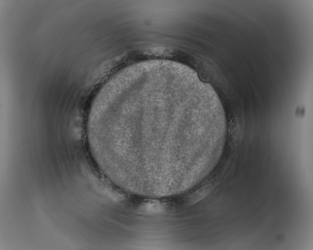 X0000114660416200911101348