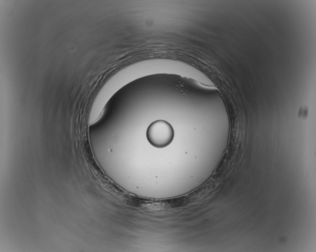 X0000114660417200911101348