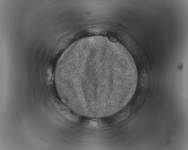 X0000114660420200911101347