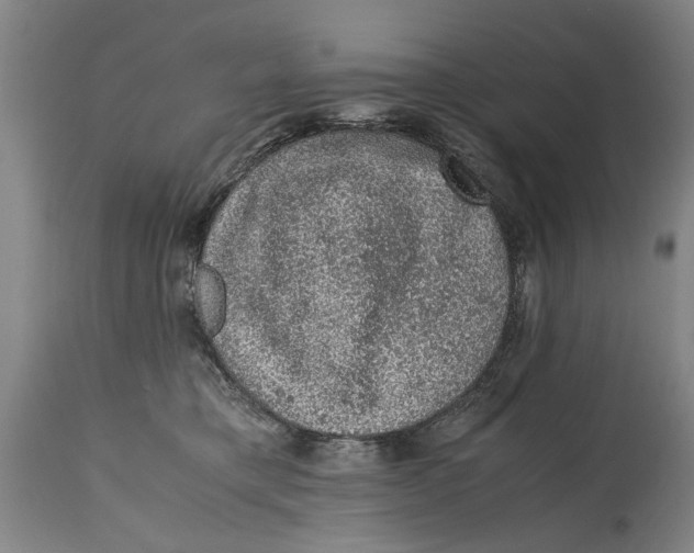 X0000114660421200911101347