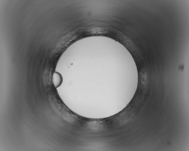 X0000114660422200911101347