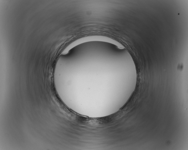 X0000114660423200911101347