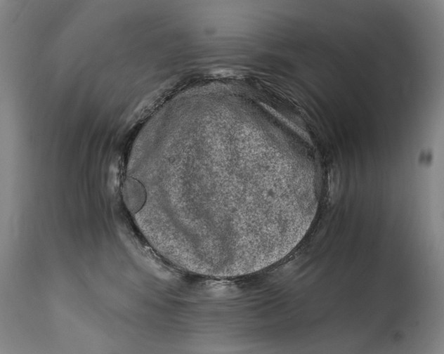 X0000114660424200911101347