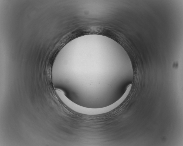 X0000114660425200911101347